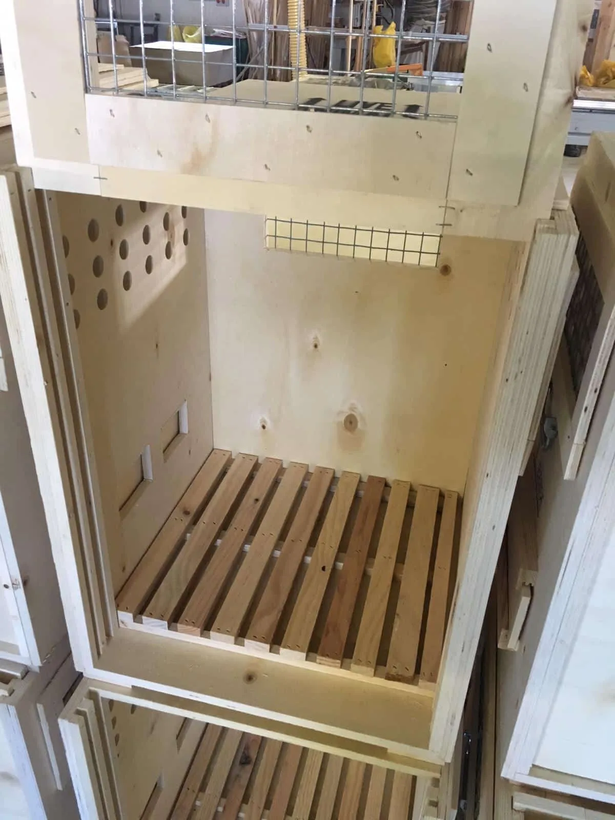 3000010 - TRANSPORTIN PARA CHIMPANCES 50x50x65 - Imagen 3