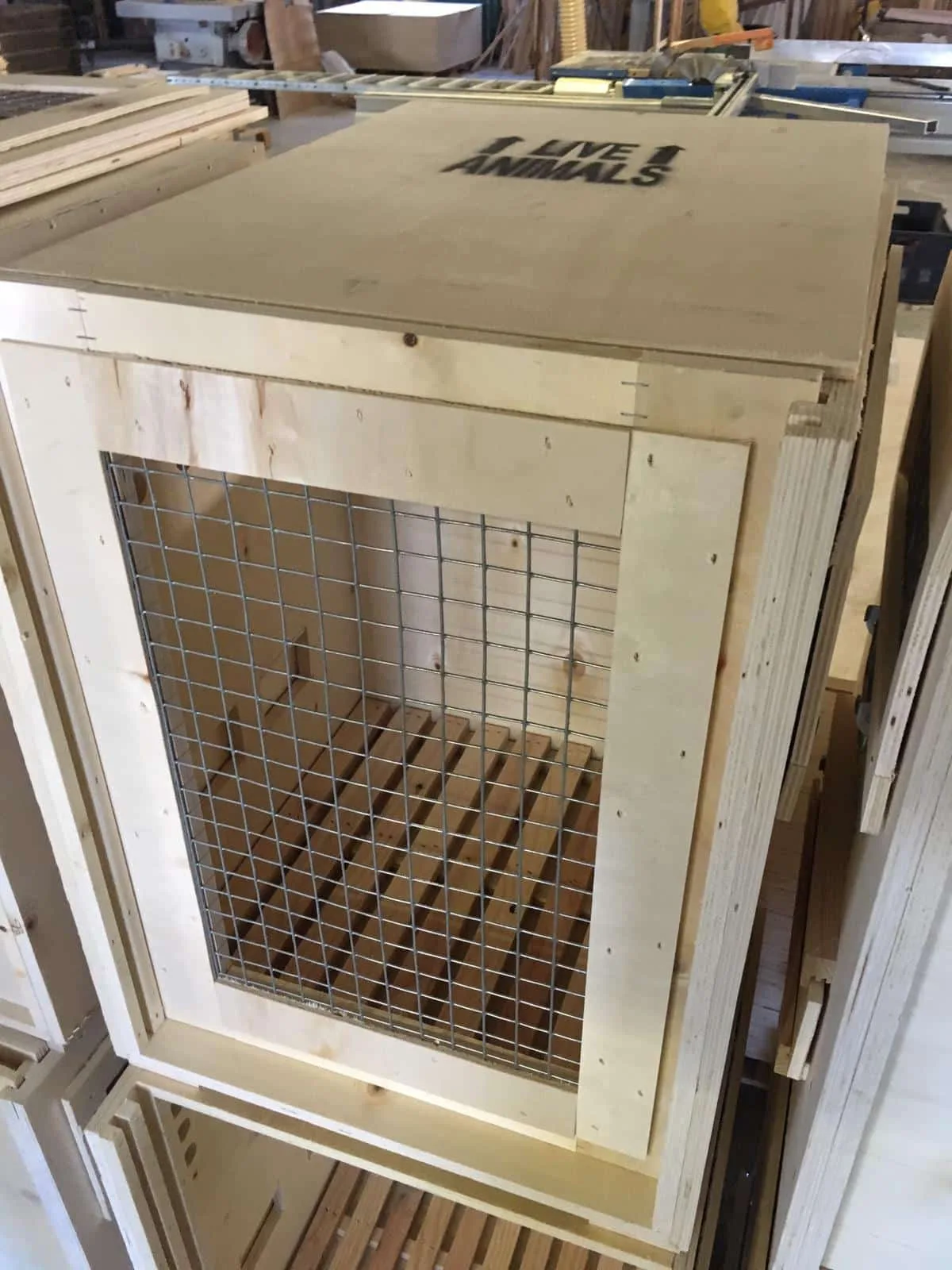 3000010 - TRANSPORTIN PARA CHIMPANCES 50x50x65 - Imagen 6