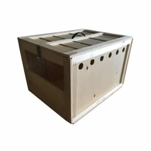 2000019- CLICK TRANSPORTIN PLEGABLE 45x35x30
