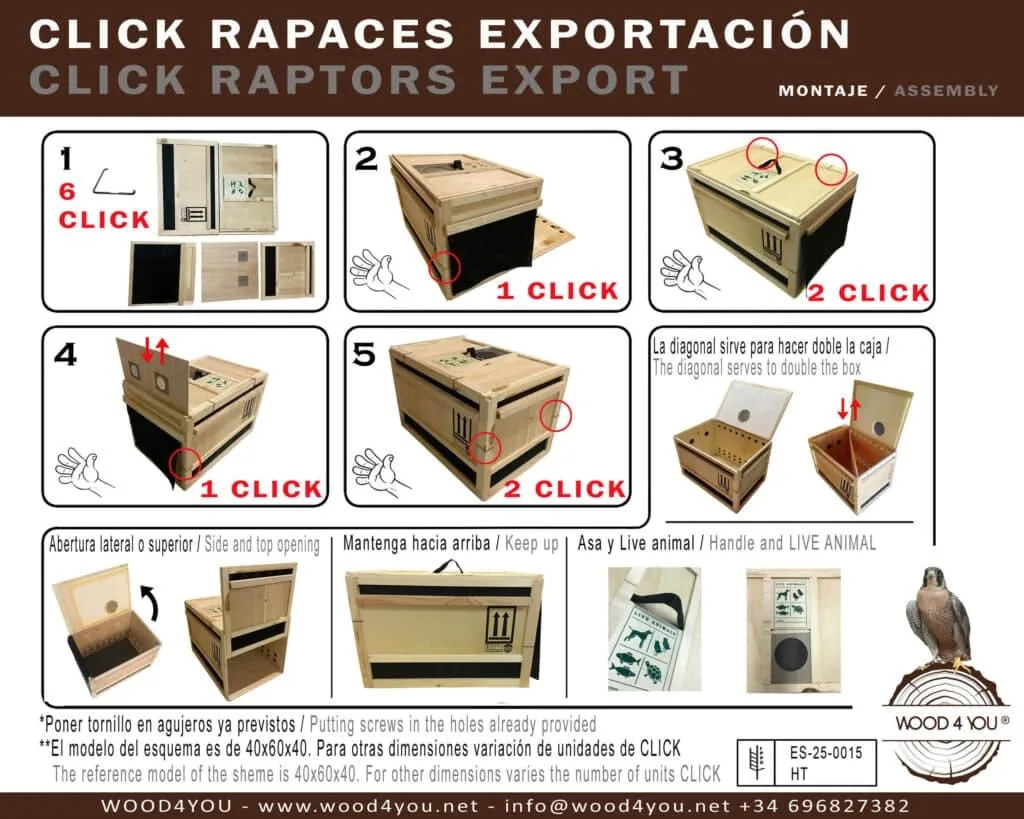 Click rapaces exportación