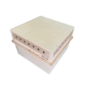 3000011 - TORTUGAS 60X40X40